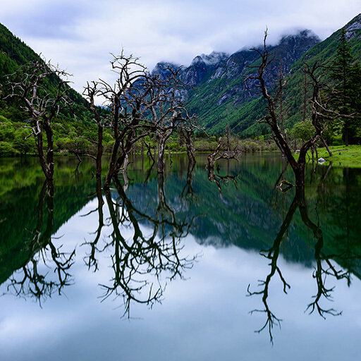 宁夏探秘倾斜摄影:让你的照片更立体、更生动!